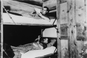 Black white historic photo of soldiers in a bunk bed reading letters.